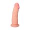    RealStick Elite DILDO Tobias - 18 .