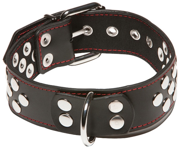    X-Play Collar With D-ring