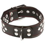    X-Play Collar With D-ring