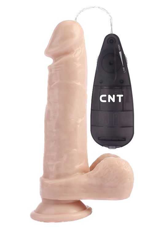   7.8 Stud Realistic Dildo - 20 .