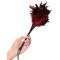   -  Frisky Feather Duster - 36 .