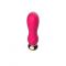  - Mini Vibrator    - 12,5 .