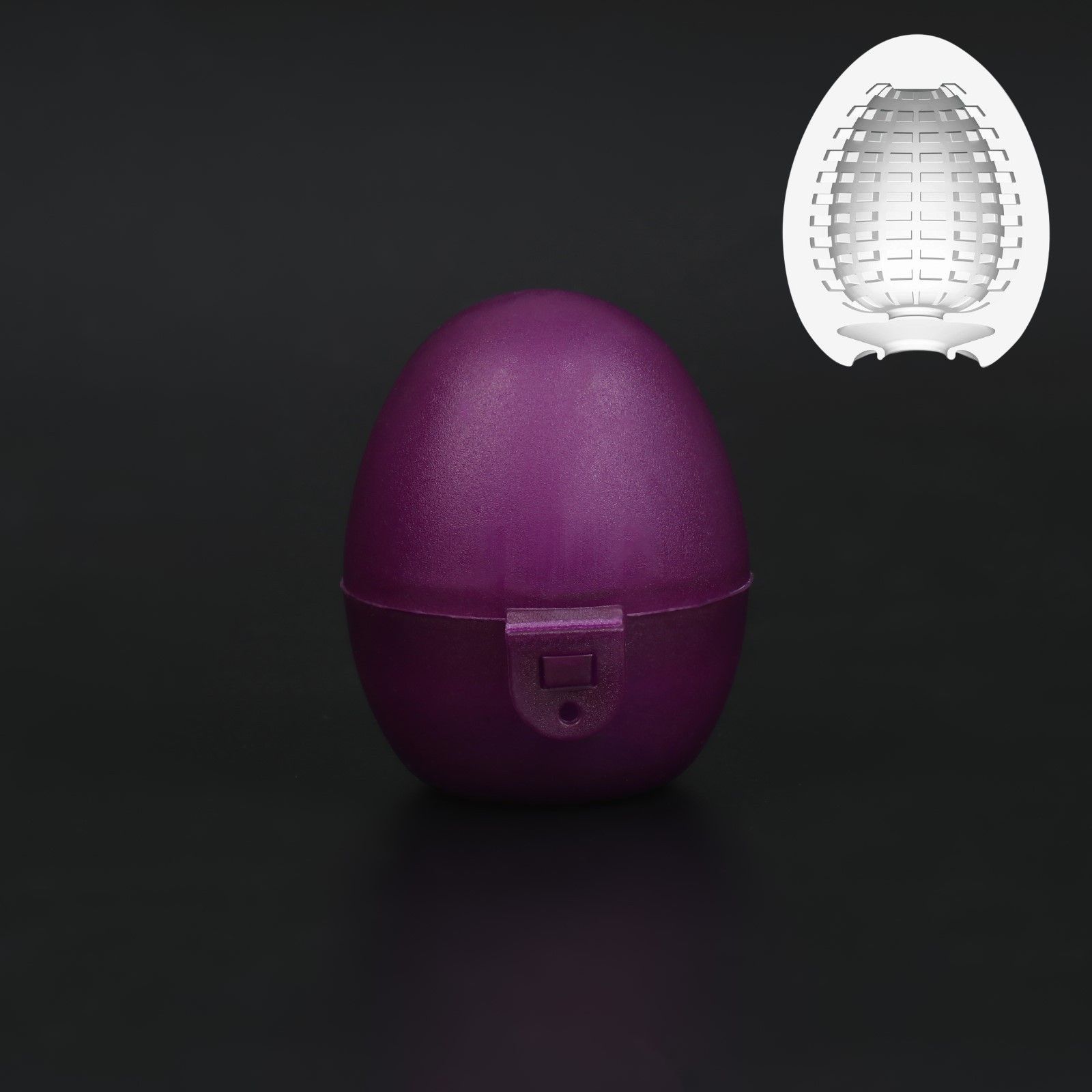 - EGG     