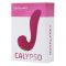  -  3--1   Calypso