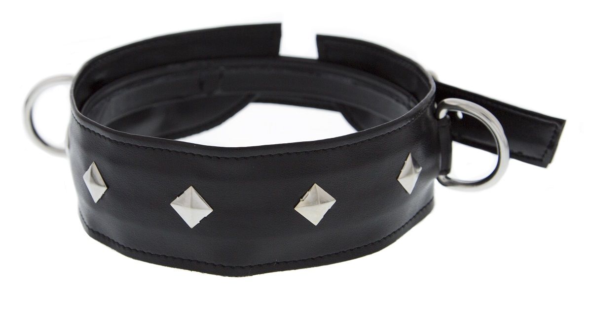      D- Collar with Studs