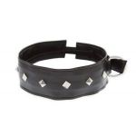     Collar with Studs